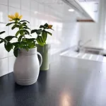Apartament Supersentralt, Lyst Og Romslig
