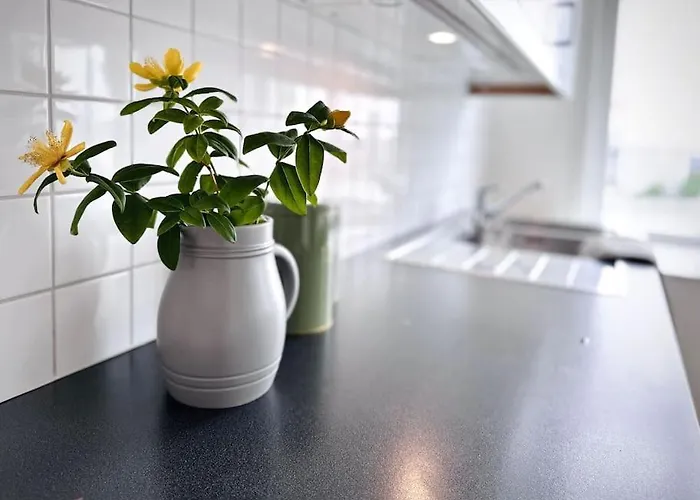 Apartment Supersentralt, Lyst Og Romslig